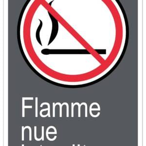 Panneaux NORME  CSA : Flamme nue interdite