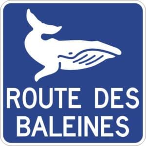 Acheminement vers la route ou le circuit touristique
Route des baleines