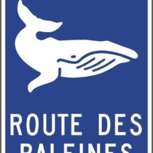 Jalonnement le long de la route ou du circuit touristique:
Route des baleines