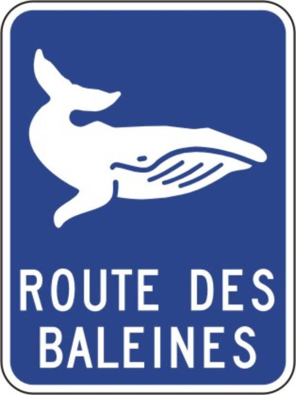 <a href="https://www.signel.ca/produit/jalonnement-le-long-de-la-route-ou-du-circuit-touristiqueroute-des-baleines/">Jalonnement le long de la route ou du circuit touristique:
Route des baleines</a>